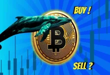 Whales Selling, Retail Buying Is Bitcoin Price at $109k on Crossroads