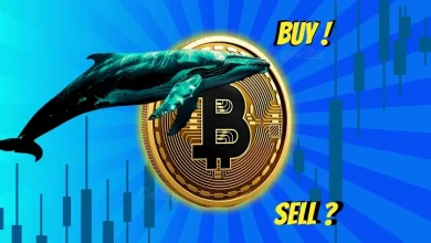 Whales Selling, Retail Buying Is Bitcoin Price at $109k on Crossroads