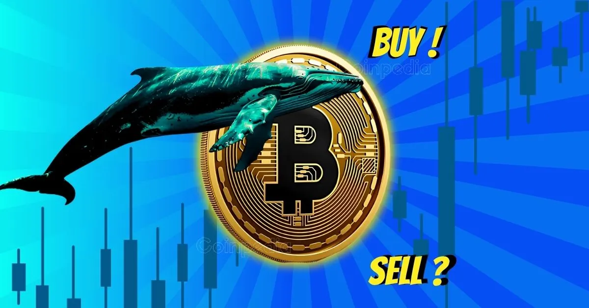 Whales Selling, Retail Buying Is Bitcoin Price at $109k on Crossroads