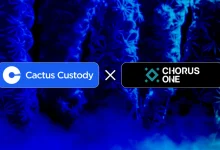 cactus-custody-chorus-one