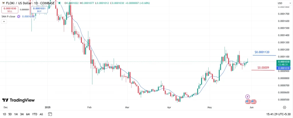 Floki Price Analysis