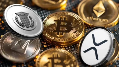 muttum-finance-crypto