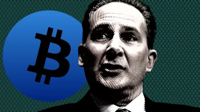 Peter Schiff Debunks ‘Wealth Creation’ Claims After Vance’s Bitcoin Speech