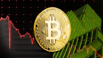 Is Bitcoin’s Rally Sustainable_ Willy Woo Highlights Risk of Profit-Taking at $110K