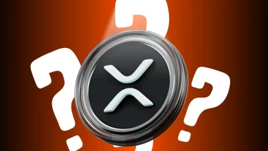 XRP Lawsuit_ New Mysterious ‘Decisive Evidence’ To Change Ripple Outcome