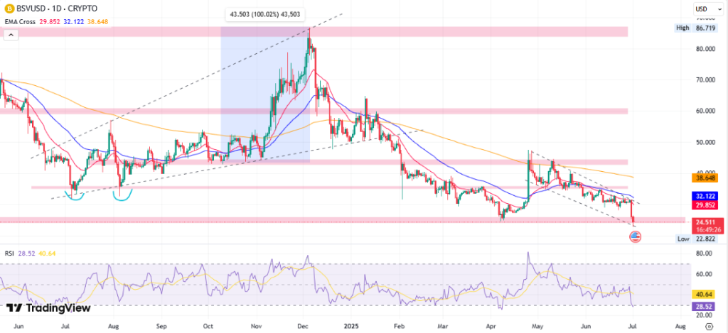 BSVUSD Price Chart