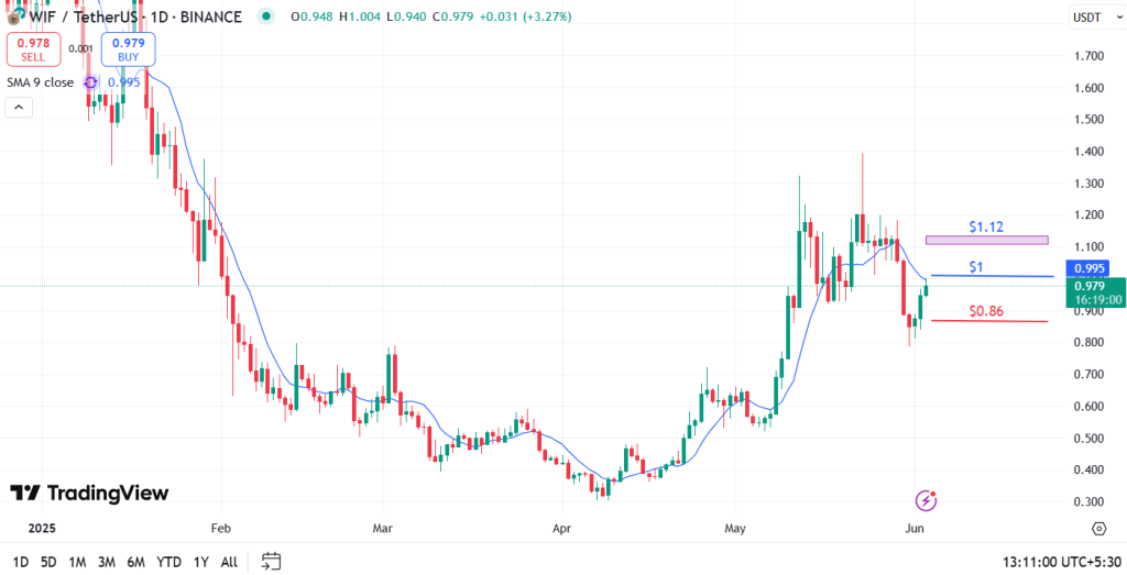 Pepe Price Analysis