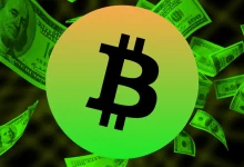 Bitcoin News Today: Whales Buy 600K BTC – June Rally Ahead?