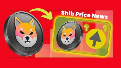Shib Price News Is SHIB Ready to Rebound Key Signs You Need to See!