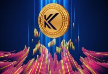 Kaanch Network