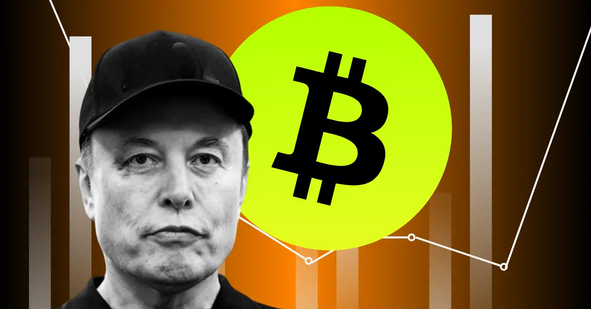 Elon Musk Slammed by Trump, Tesla Stock Drop – Samson Mow Says ‘Buy Bitcoin’