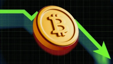 How Low Could Bitcoin Price Go in This Crypto Market Crash