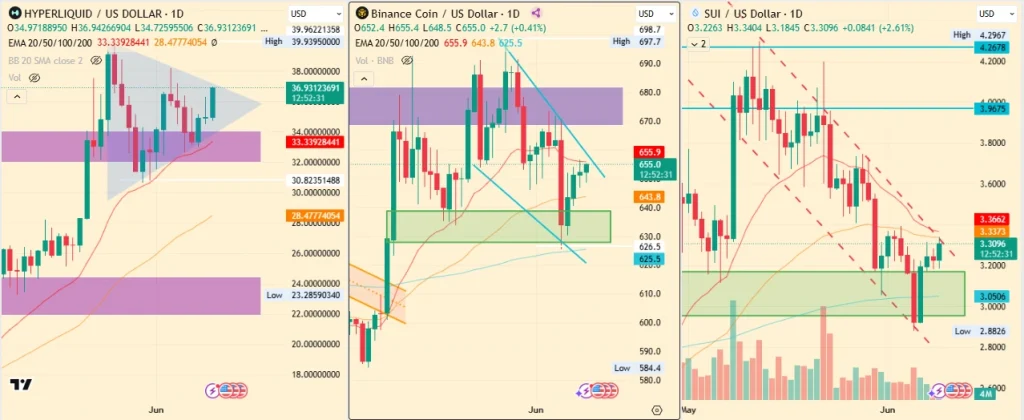 Top Altcoins