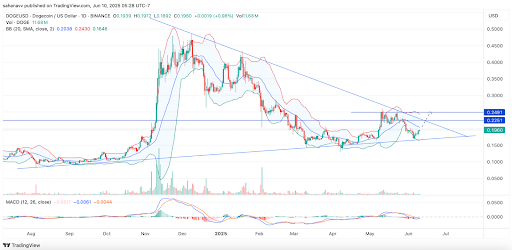 doge price 