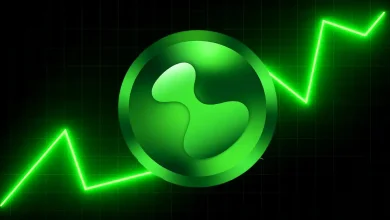 Hyperliquid (HYPE) Breaks New ATH As Whales Fuel Rally_ Can Bulls Push Beyond $50