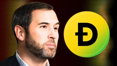 Ripple CEO Garlinghouse Admits DOGE Is ‘Here to Stay’ Despite Past Criticism