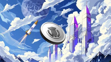 mutuum-finance-rise