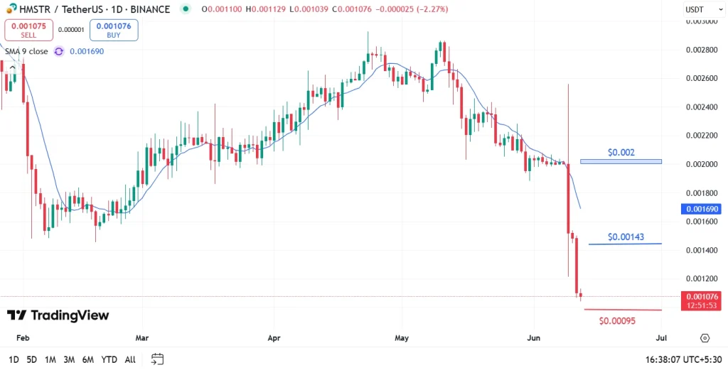 HMSTR Price Analysis
