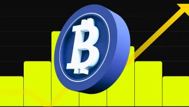 Bitcoin Bull Run Incoming as BTC CAGR Hits 31%