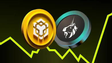 BinanceCoin (BNB) & Uniswap (UNI) Attract Significant Gains—Will They Revive a Notable Recovery