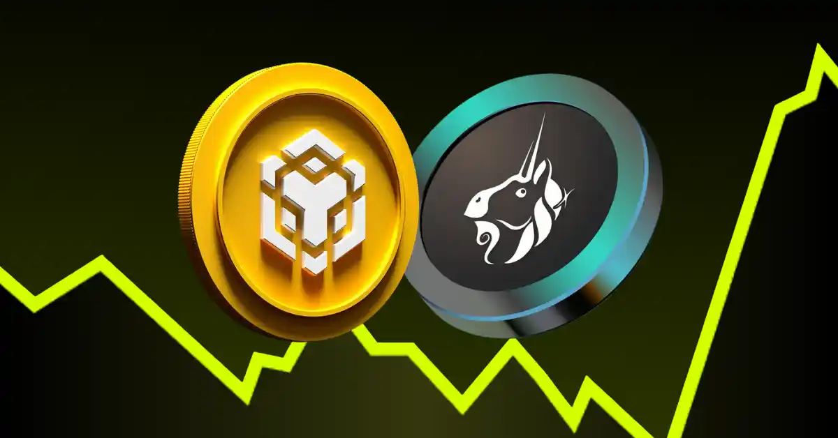BinanceCoin (BNB) & Uniswap (UNI) Attract Significant Gains—Will They Revive a Notable Recovery