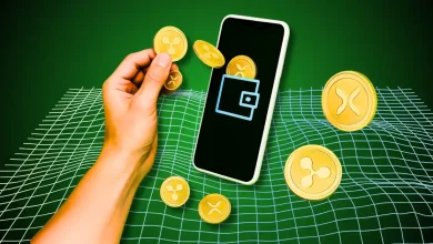 XRP Rich List: Are You in The Top 10%?