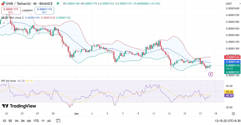 Shiba Inu Price Analysis