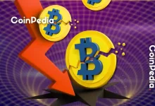 Crypto Crash