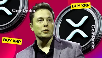Fact Check Is Elon Musk Buying XRP (Ripple)