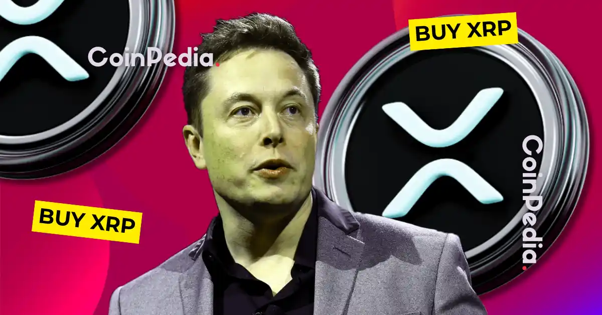 Fact Check Is Elon Musk Buying XRP (Ripple)