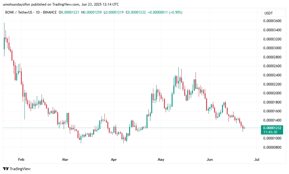 BONK/USDT Price Chart| Source: TradingView