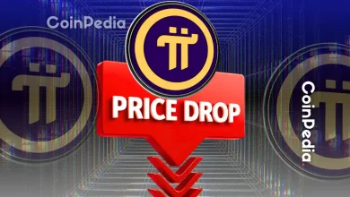 Why Pi Coin Price is Down Today