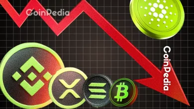 Crypto Price Today BTC, ETH, XRP, PI Price Fall Amid $202M Liquidation