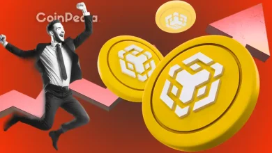 Binance Coin Eyes $900 Target as Exchange Activity and Whale Moves Spike