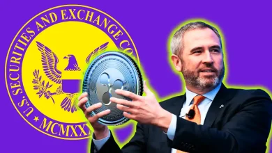 Ripple vs SEC Lawsuit Not Fully Settled Yet, Say Legal Experts