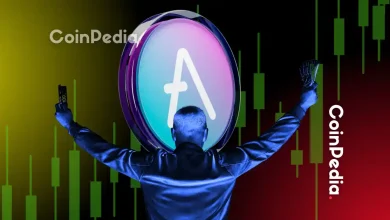 AAVE Price on Track for $480 Whale Accumulation & On‑Chain Strength in Focus
