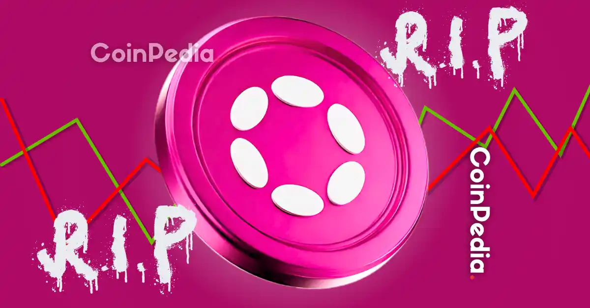 13 Reasons Why Polkadot Is Dead