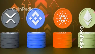 Altcoin Season Building Up, These Cryptos Are Leading Early