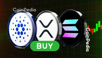 XRP, SOL, ADA And DOGE Is This The Last Chance To Buy These Altcoins