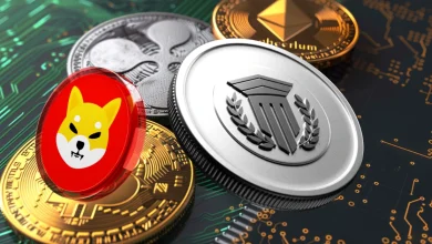 mutuum-finance-shib