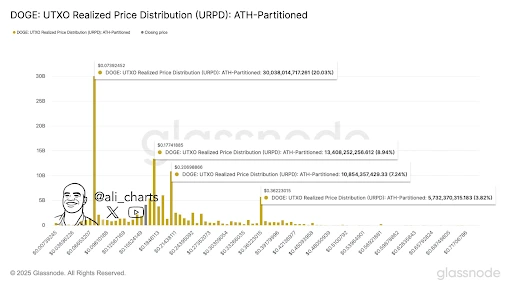 doge price