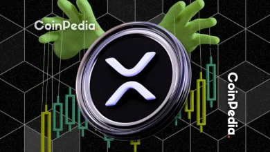 XRP’s Price History Raises New Questions About Market Manipulation