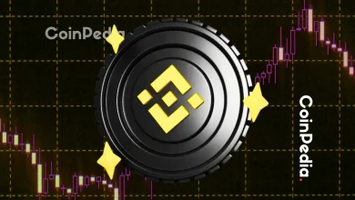 BNB Price to Hit $900: Historical Patterns Resurface  