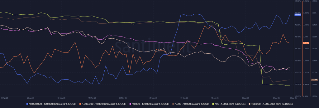 Will DOGE Price Hit $0.22 in the Short Term?