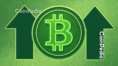Bitcoin to $1 Million in Months? Samson Mow Reveals Shocking Scenario
