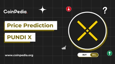 PUNDIX price 2026