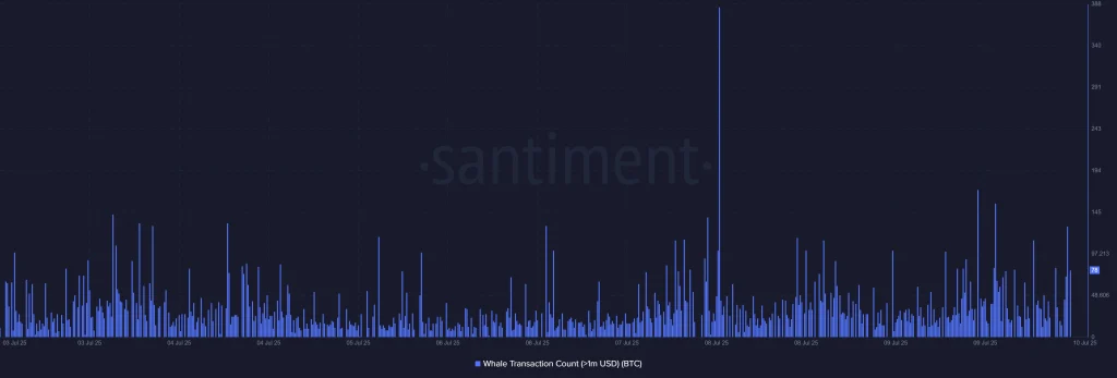 Bitcoin Whale Transaction Count