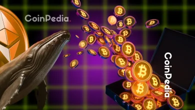 Whale Rotation Is Big Money Leaving Bitcoin for Altcoins