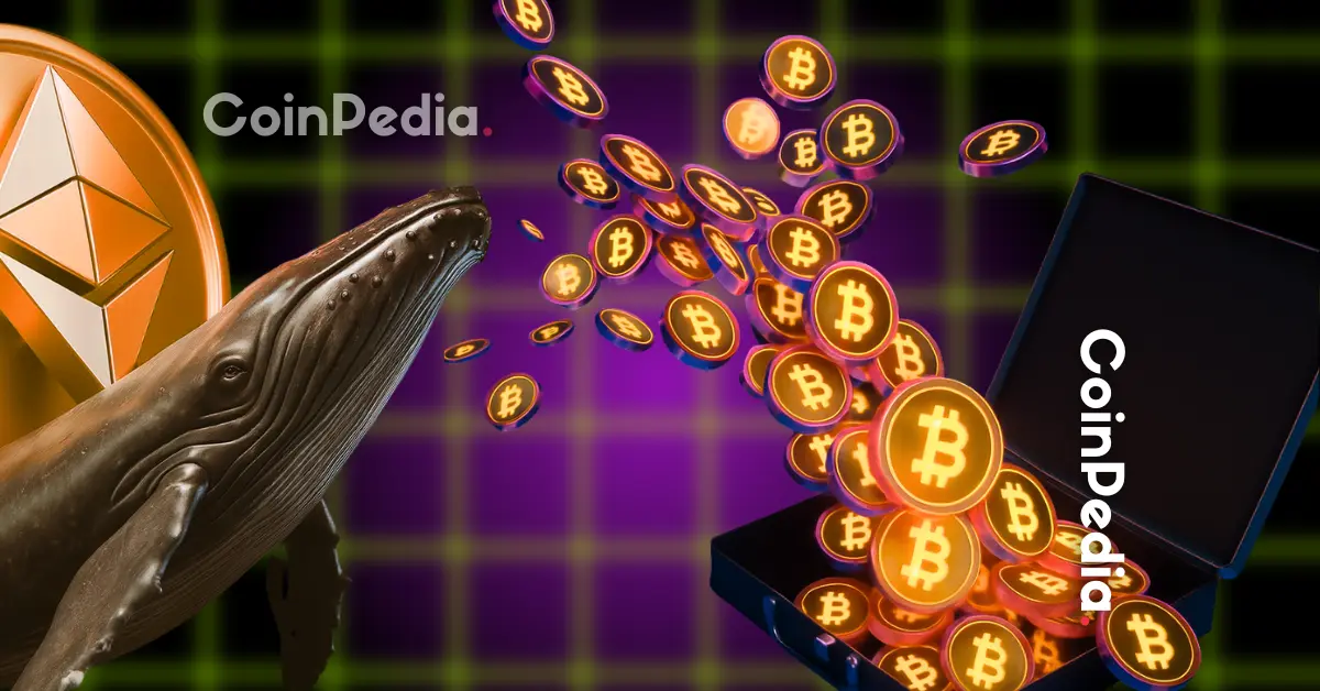 Whale Rotation Is Big Money Leaving Bitcoin for Altcoins