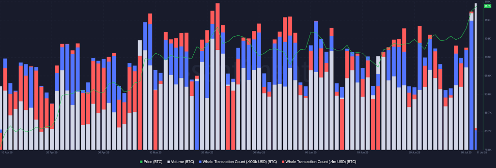 BTC Whale Transaction